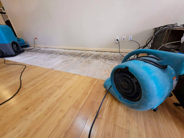 Professional Water Damage Repair technician working in Orange, TX